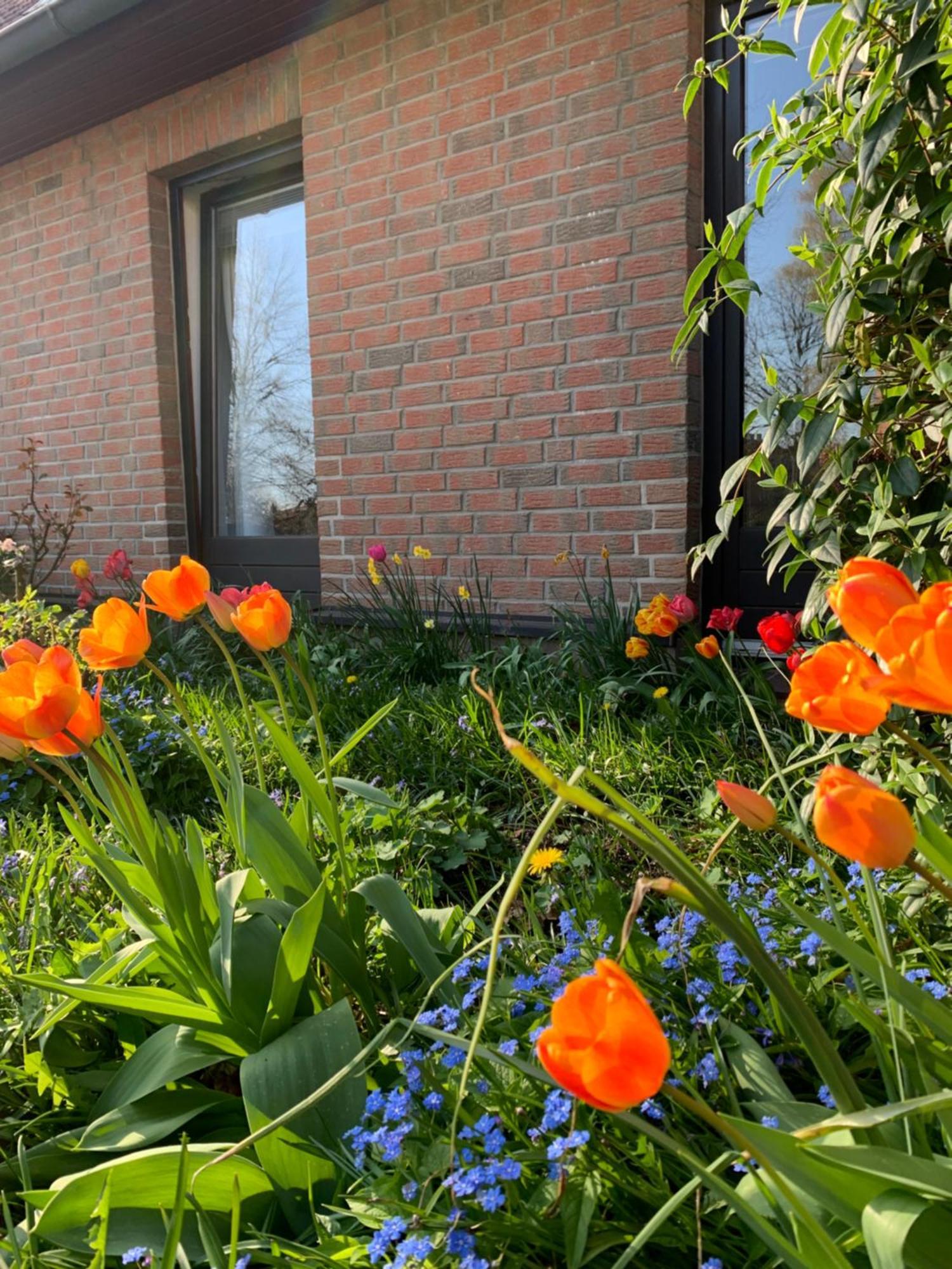 Zwei Zimmer Natur Und Luxus Ferienwohnung Mit Garten Schmilau Exterior photo